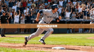 国内VPN购买指南