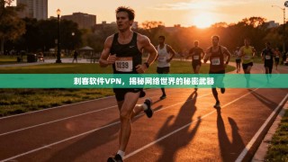 刺客软件VPN，揭秘网络世界的秘密武器