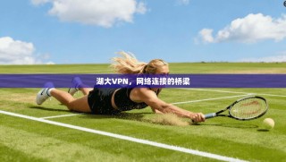 湖大VPN，网络连接的桥梁