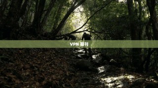 VPN 期刊