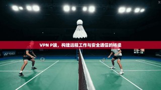 VPN P端，构建远程工作与安全通信的桥梁
