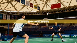 橙子VPN跨区使用指南