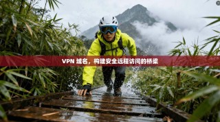 VPN 域名，构建安全远程访问的桥梁