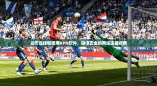 如何选择和使用VPN软件，确保安全的网络连接指南