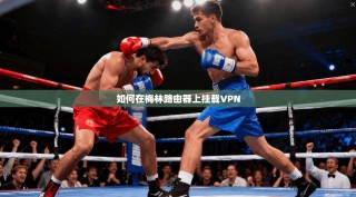 如何在梅林路由器上挂载VPN