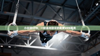 小白鸽VPN，一款高效稳定的免费VPN服务