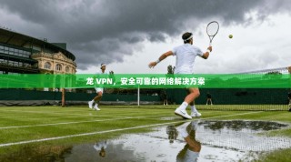 龙 VPN，安全可靠的网络解决方案