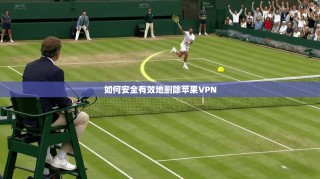 如何安全有效地删除苹果VPN