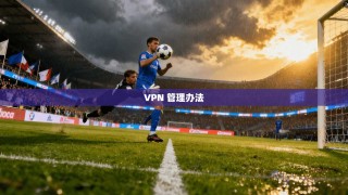 VPN 管理办法
