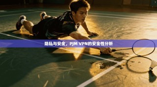隐私与安全，PJM VPN的安全性分析