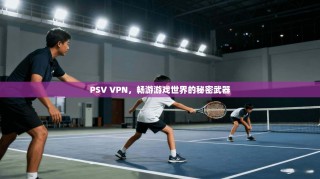 PSV VPN，畅游游戏世界的秘密武器