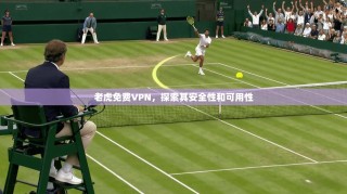 老虎免费VPN，探索其安全性和可用性