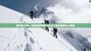 穿云兔VPN，如何选择和使用安全可靠的虚拟私人网络