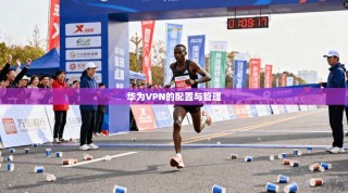 华为VPN的配置与管理