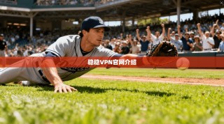 稳稳VPN官网介绍