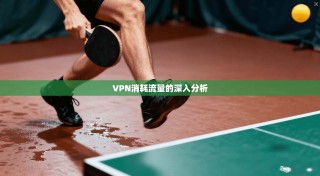 VPN消耗流量的深入分析