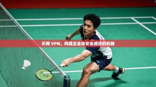 天网 VPN，构建企业级安全通信的利器