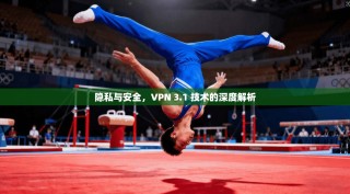 隐私与安全，VPN 3.1 技术的深度解析