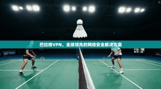 巴拉格VPN，全球领先的网络安全解决方案