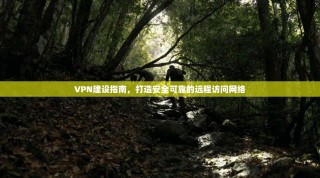 VPN建设指南，打造安全可靠的远程访问网络