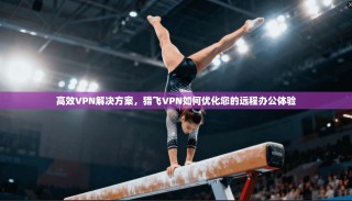 高效VPN解决方案，猎飞VPN如何优化您的远程办公体验