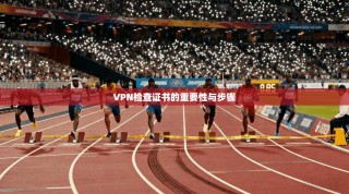 VPN检查证书的重要性与步骤
