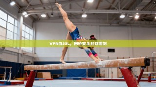 VPN与SSL，网络安全的双面剑