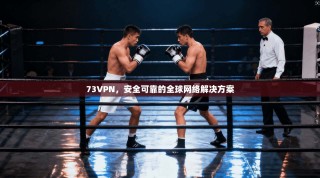 73VPN，安全可靠的全球网络解决方案