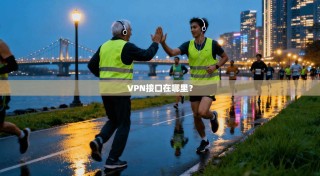 VPN接口在哪里？