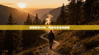 新猫限制VPN，科技与安全的碰撞