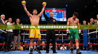 汤不热 VPN，如何选择和使用高质量的VPN服务