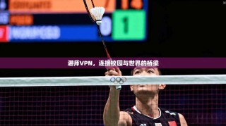 湛师VPN，连接校园与世界的桥梁