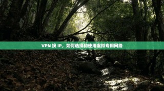 VPN 换 IP，如何选择和使用虚拟专用网络