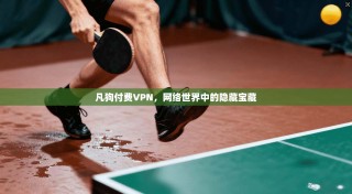 凡狗付费VPN，网络世界中的隐藏宝藏