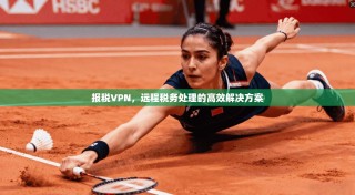 报税VPN，远程税务处理的高效解决方案