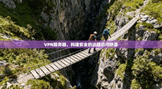 VPN服务器，构建安全的远程访问桥梁
