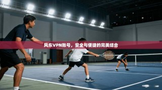 风东VPN账号，安全与便捷的完美结合