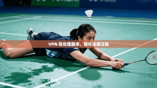 VPN 批处理脚本，简化连接过程