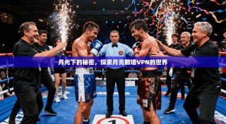 月光下的秘密，探索月亮翻墙VPN的世界
