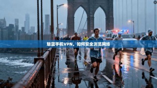 魅蓝手机VPN，如何安全浏览网络