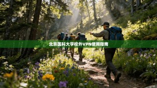 北京医科大学校外VPN使用指南
