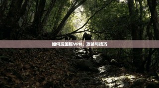如何玩国服VPN，攻略与技巧