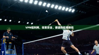 VPN福利网，探索安全、便捷的在线体验