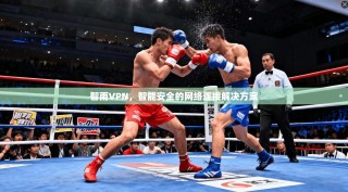 智雨VPN，智能安全的网络连接解决方案