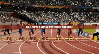 BGP VPN（边界网关协议虚拟专用网络）