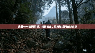 麦苗VPN官网解析，如何安全、稳定地访问全球资源