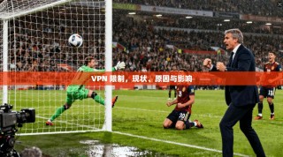 VPN 限制，现状、原因与影响
