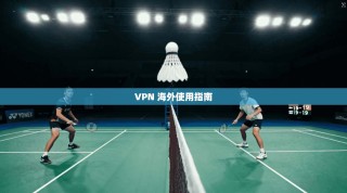 VPN 海外使用指南