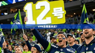 VPN去哪里购买？