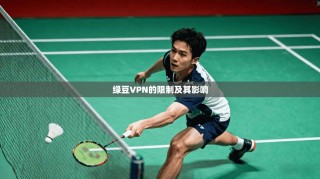 绿豆VPN的限制及其影响